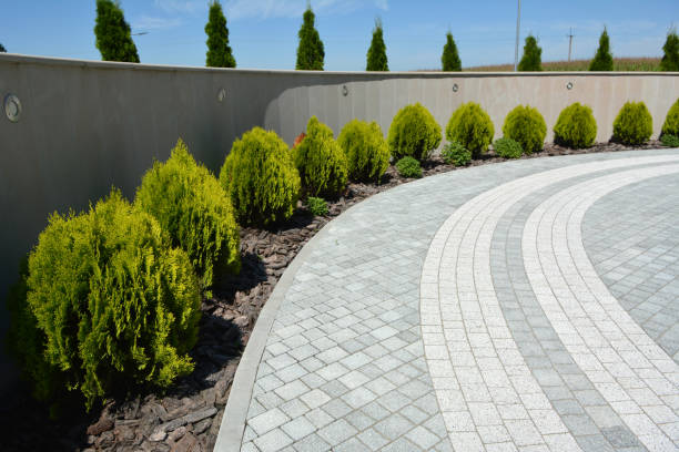 Best Professional Driveway Pavers  in Jamestown, NY